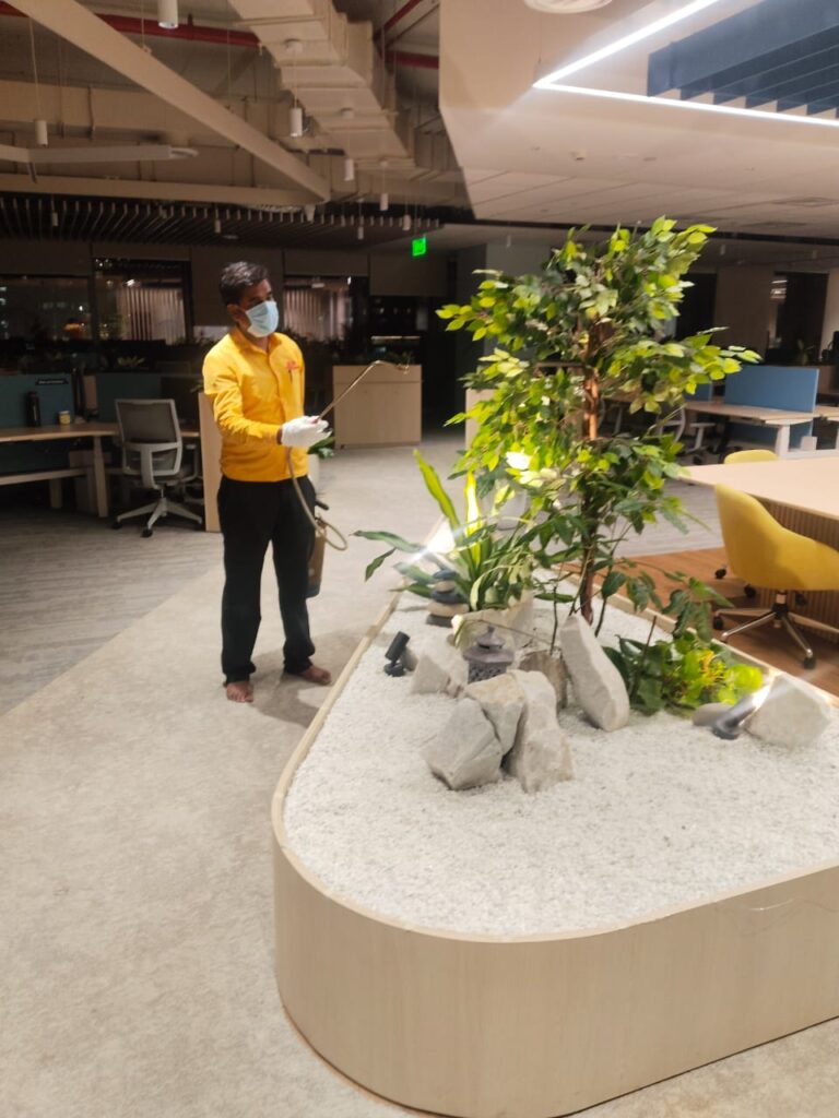 WhatsApp Image 2026-01-17 at 7.23.42 PM